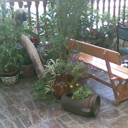 היסריה Family Hotel Natalis מראה חיצוני תמונה