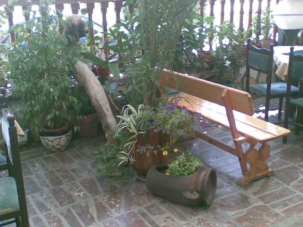 היסריה Family Hotel Natalis מראה חיצוני תמונה